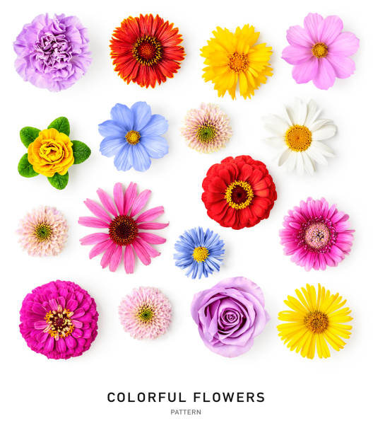 flowers500.com