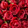 flowers500.com