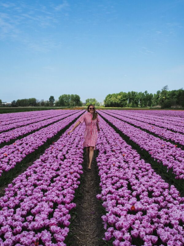 flowers500.com