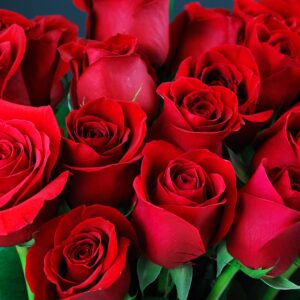 flowers500.com