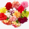 flowers500.com