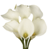 flowers500.com