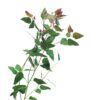 flowers500.com