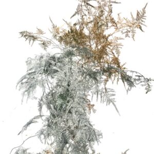 Flowers500