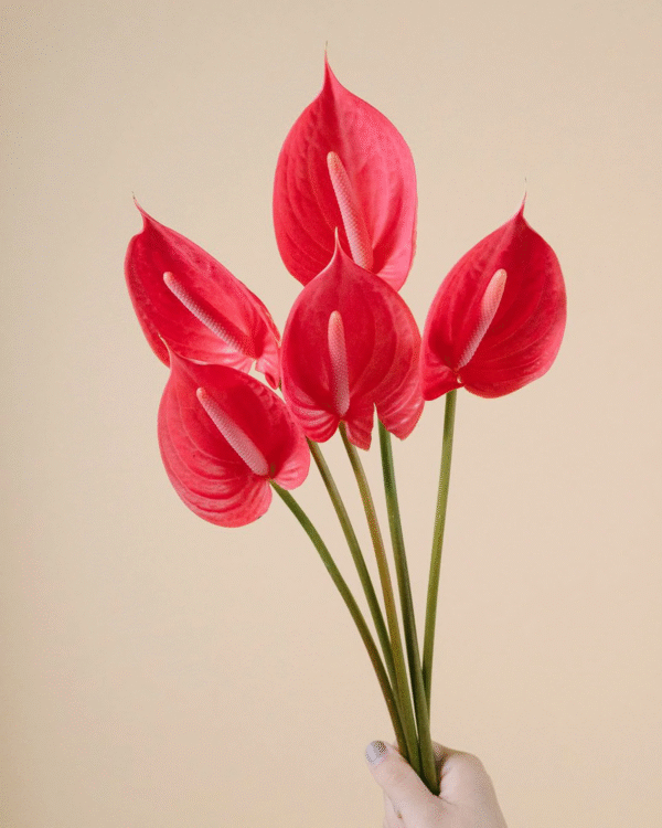 flowers500.com