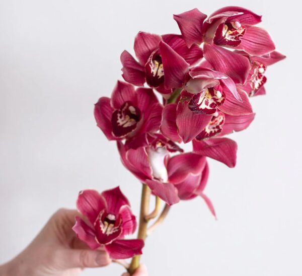 flowers500.com