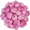 flowers500.com