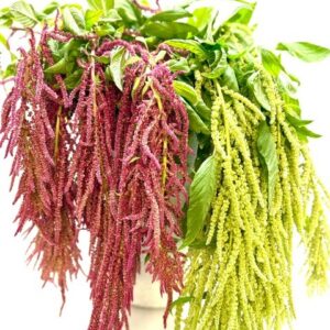 flowers500.com