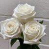flowers500
