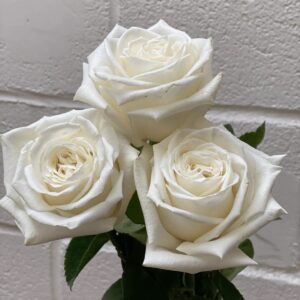 flowers500
