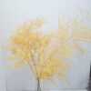 Flowers500