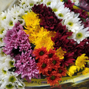 flowers500.com