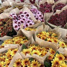 flowers500.com