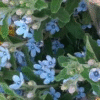 flowers500.com