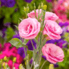 flowers500.com