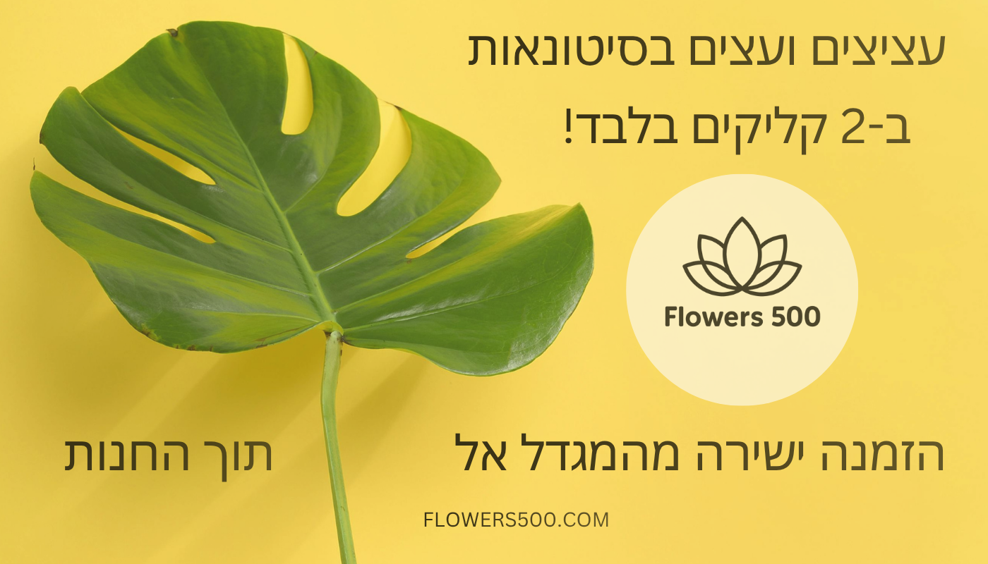 עציצים בקליק flowers500.com