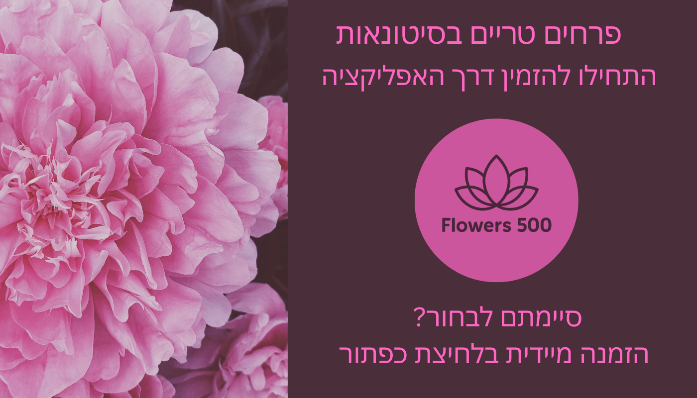 פרחים בקליק flowers500.com